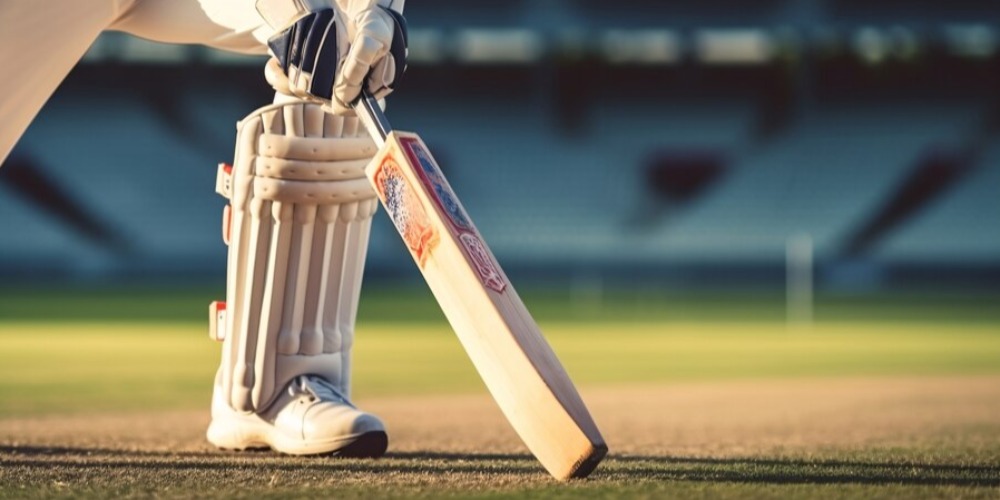 Pro-Tech Cricket Bat